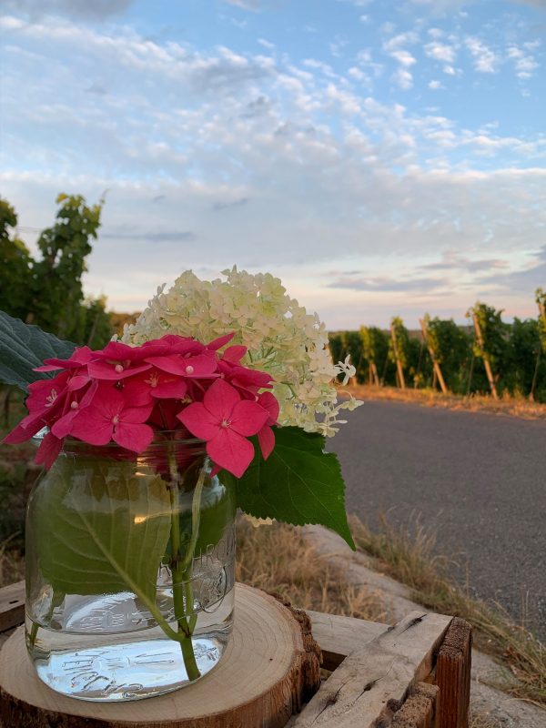 wengerthaus-antrag-holzkiste